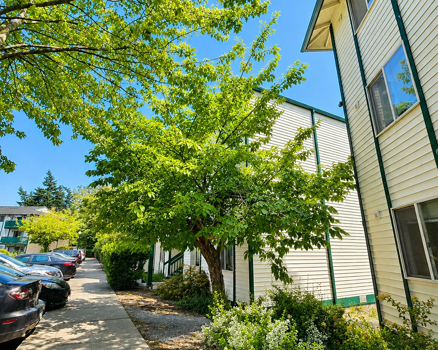 Baker Vista Apartments — Photo 4