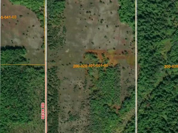 V/l 80ac Holiday Rd, Wolverine, MI 49799