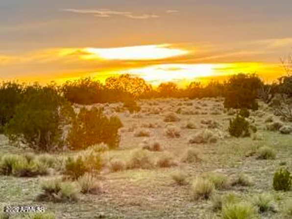 TBD Co Rd N6659 36.25 Acres -- #-, St Johns, AZ 85936