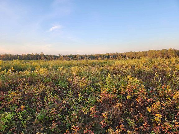 2nd image of 1st Monroe Easement Rd