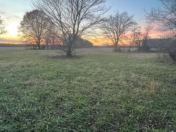 Burrell Ln, Friendship, TN 38034