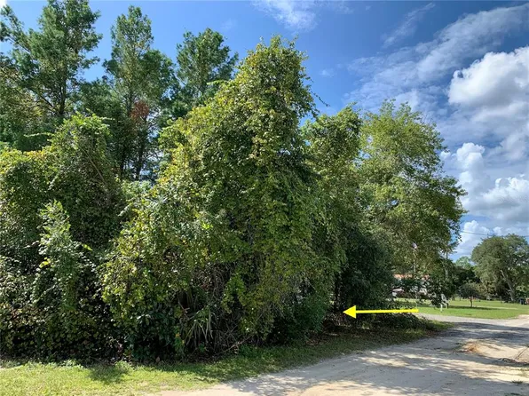 2 Holly Ave, Paisley, FL 32767