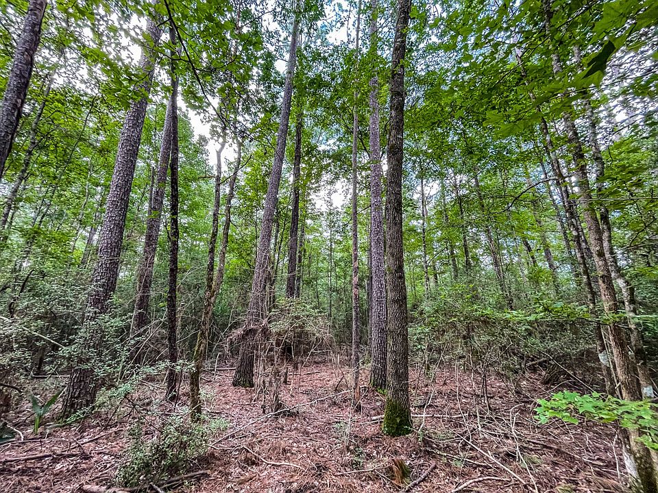 1st image of Peyton Ln