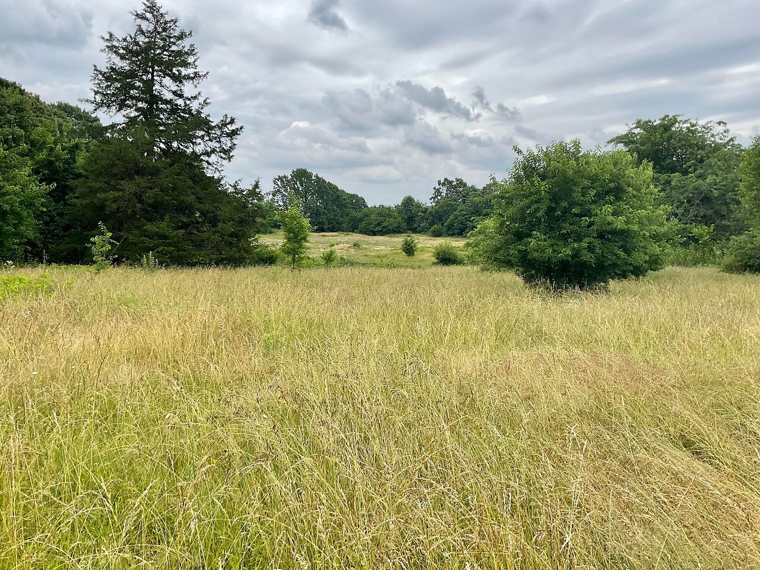 Tbd N Farm Road 71, Bois D Arc, MO 65612 | Zillow