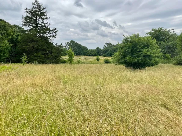 Tbd N Farm Road 71, Bois D Arc, MO 65612