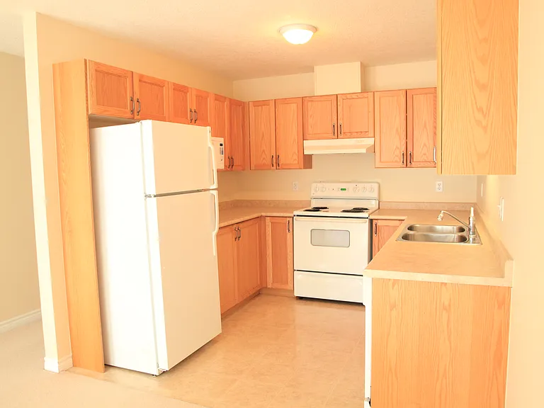 619 Wild Ginger Ave — Photo 28