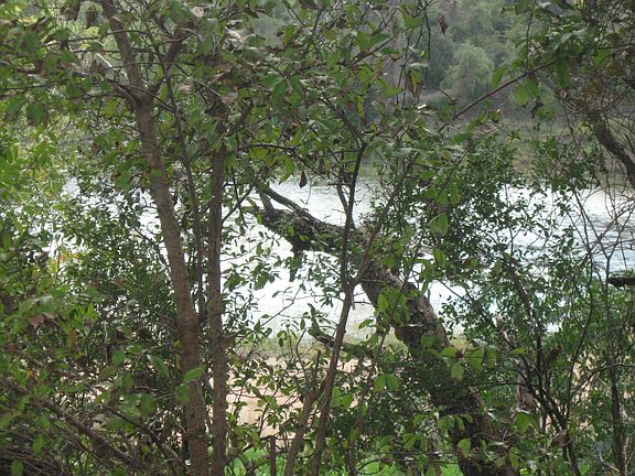 2nd image of 1845 County Road 343