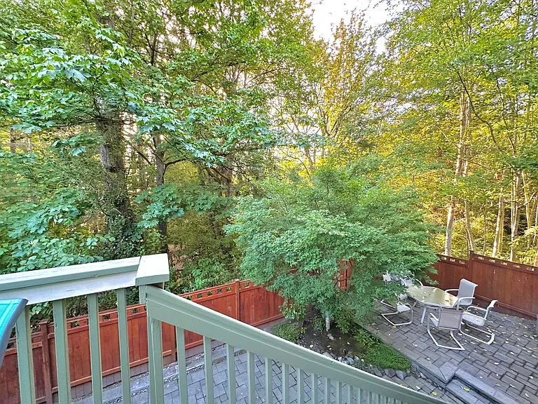 backyard down the patio