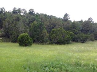 146 N View Dr, Capitan, NM 88316