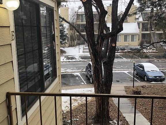 View from Patio