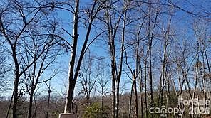 1st image of Galax Ln #G-11