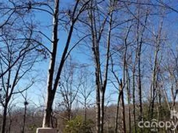 Galax Ln #G-11, Brevard, NC 28712