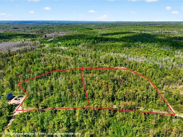 Lot 40 and 41 Horse Creek Trail, Ojibwa, WI 54862