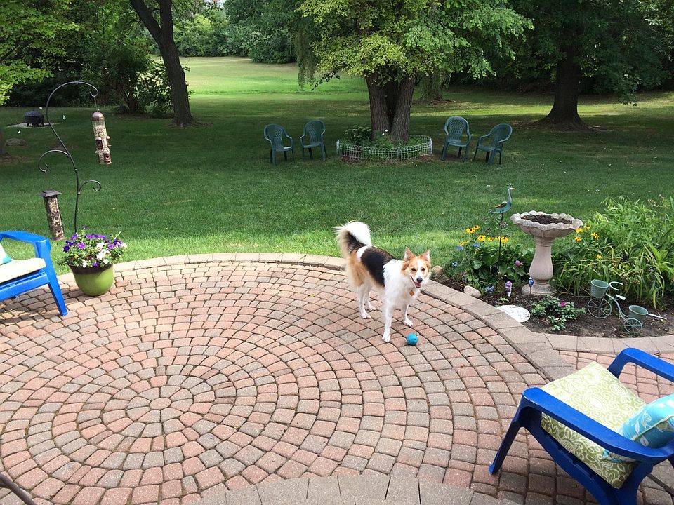 Park like back yard.