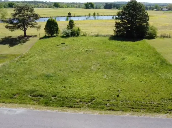 10 County Road 1432, Vinemont, AL 35179