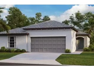 11378 Misty Moss Dr, Wimauma, FL 33598