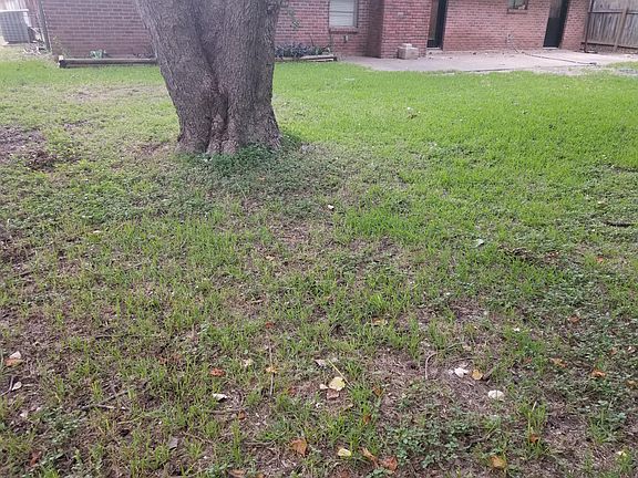 5th image of 10505 Golden Quail Dr