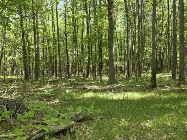 831 E London Rd, Harrisville, MI 48740