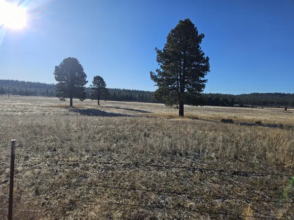 31747 Godowa Springs Rd, Beatty, OR 97621