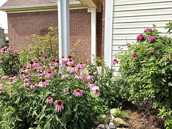 3rd image of 6692 Amherst Way