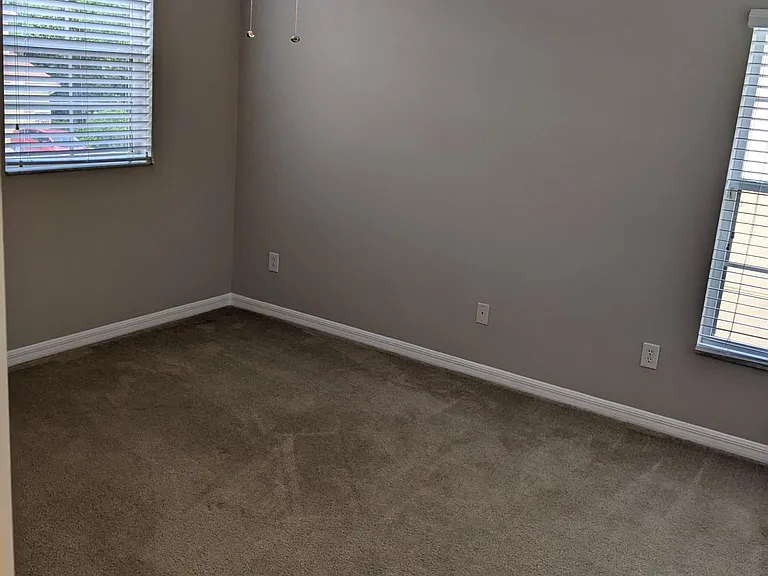 96 Canterbury Bell Dr — Photo 21