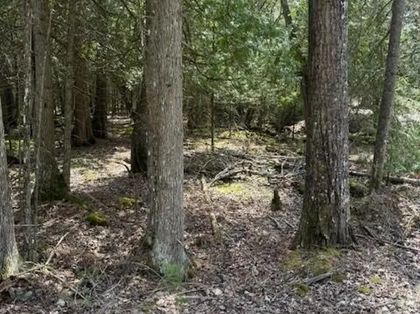 E Stoney Point Rd, Hessel, MI 49745