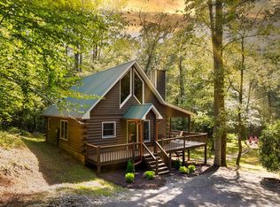 38 Forest Ln, Blue Ridge, GA 30513