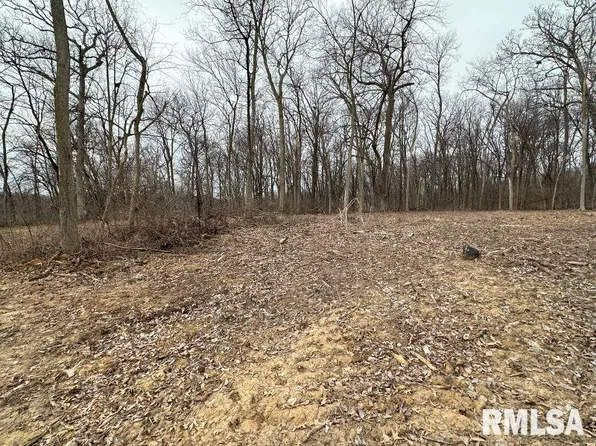 LOT 3 225th St, De Witt, IA 52742