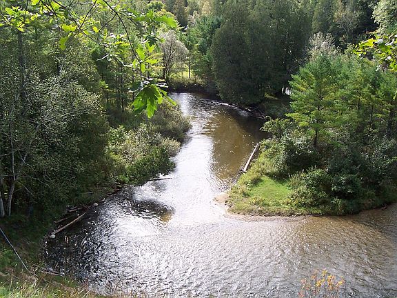 4th image of 8121 Sturgeon Valley Dr