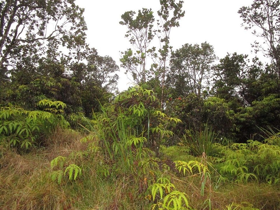 2nd image of Nahelenani St Lot 53-B