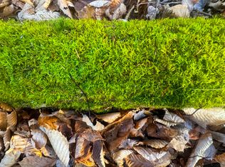 0 Fox Rd, Warren, VT 05674