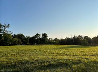 Wadsworth Rd, Medina, OH 44256