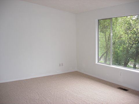 Vaulted Ceilings