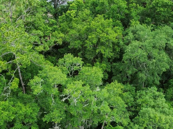 417 W Hillsborough Ave, Florahome, FL 32140