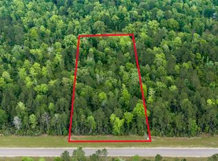 10627 Ruger Rd, Willis, TX 77378