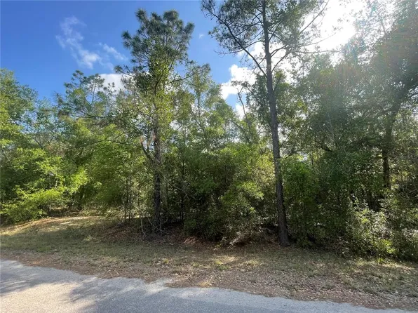 Sequoia Dr Lot 16, Ocklawaha, FL 32179
