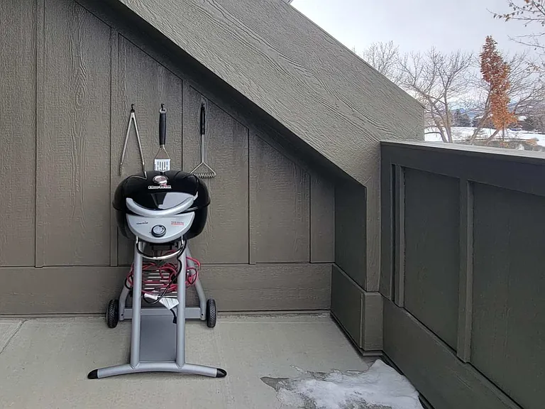 Outdoor Porch w/ Electric Grill