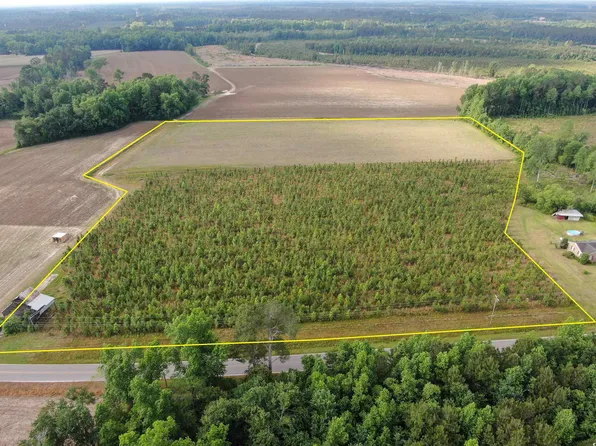 TBD Highway 430, Nichols, SC 29581