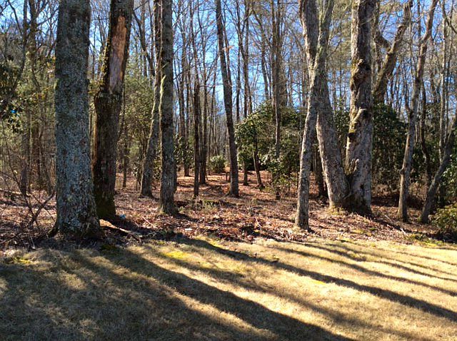 1st image of 1352 Burl Ln