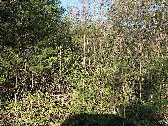 5th image of 0 5177 Ac Twin Ridge Dr