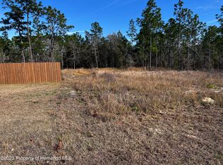 13095 Thrasher Ave, Brooksville, FL 34614