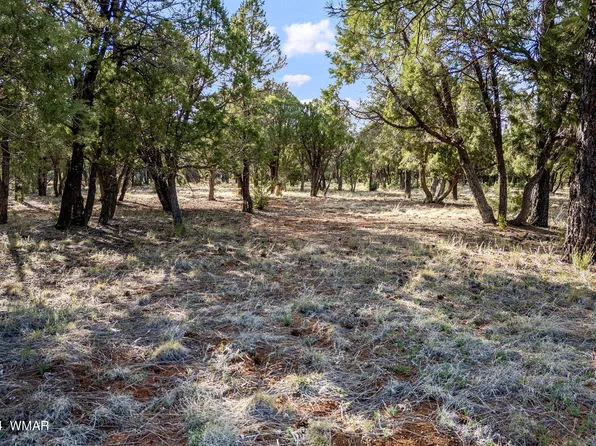 2756 Apollo Cir, Overgaard, AZ 85933