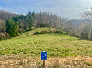 37 Cowan Town Rd, Butler, TN 37640