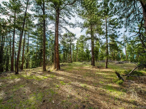 10250 Highway 73, Conifer, CO 80433