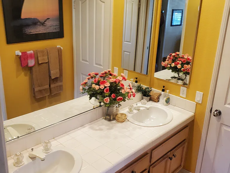 Jack and Jill Bathroom