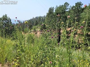 9455 Canyon Dr, Woodland Park, CO 80863