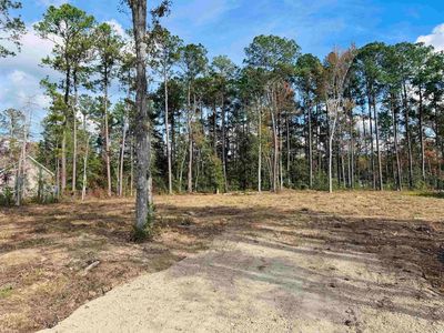 Lot 11 Leadwood St., Andrews, SC, 29510