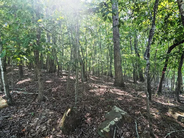 Fire Tower Dr Lot 6, Rougemont, NC 27572