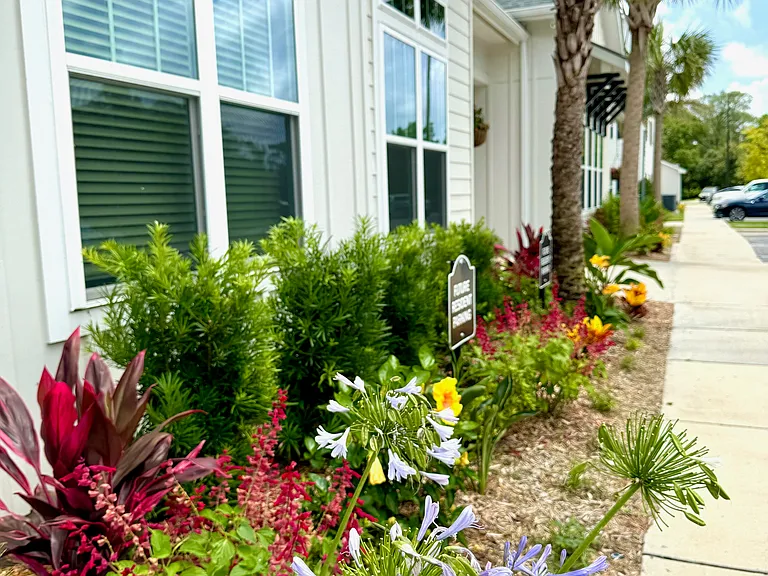 Azalea Bay Apartments — Photo 5