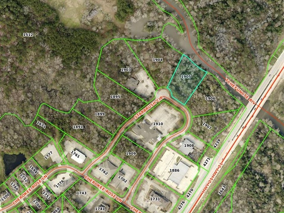 2nd image of Starbrush Cir